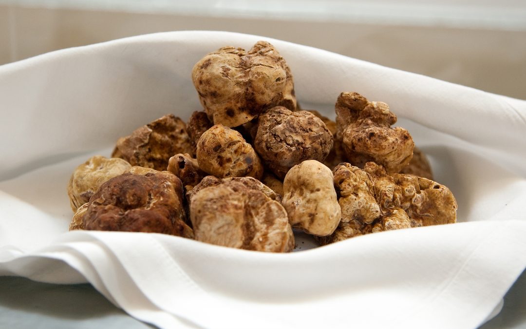 E poi…arriva il Tartufo Bianco