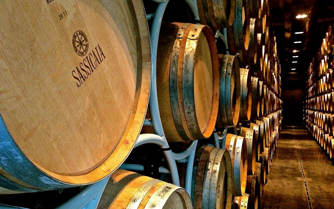 È il Sassicaia il miglior vino dell’anno