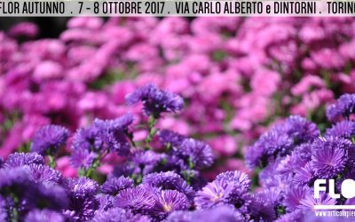 Gli appuntamenti torinesi di Ottobre