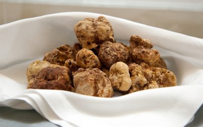 E poi…arriva il Tartufo Bianco
